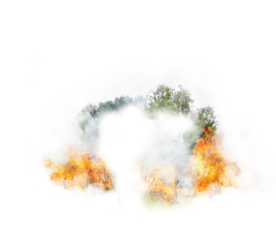 Odors caused by Fires